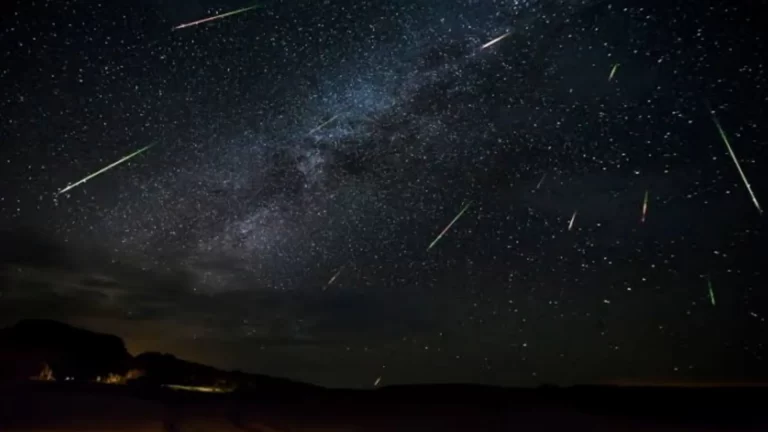 Orionid Meteor Shower: How You Can Observe The Meteor Shower This Weekend